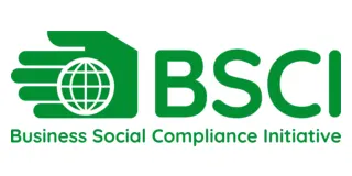 Bsi