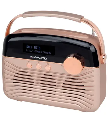 Digital Retro Radio – Sp 36